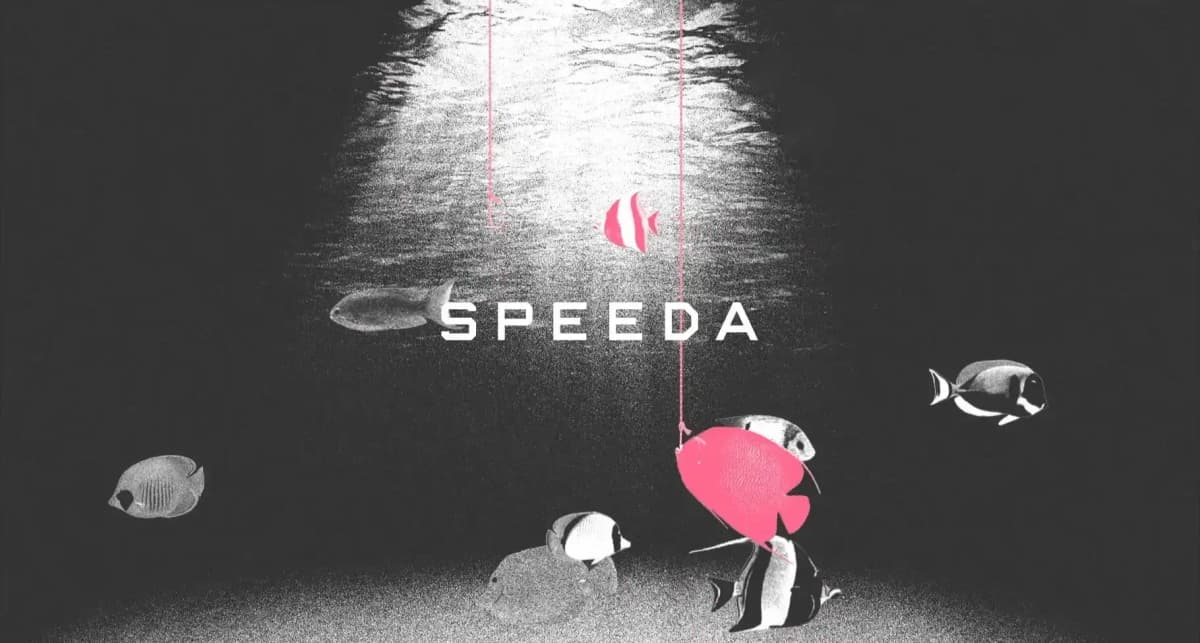 speeda_1204