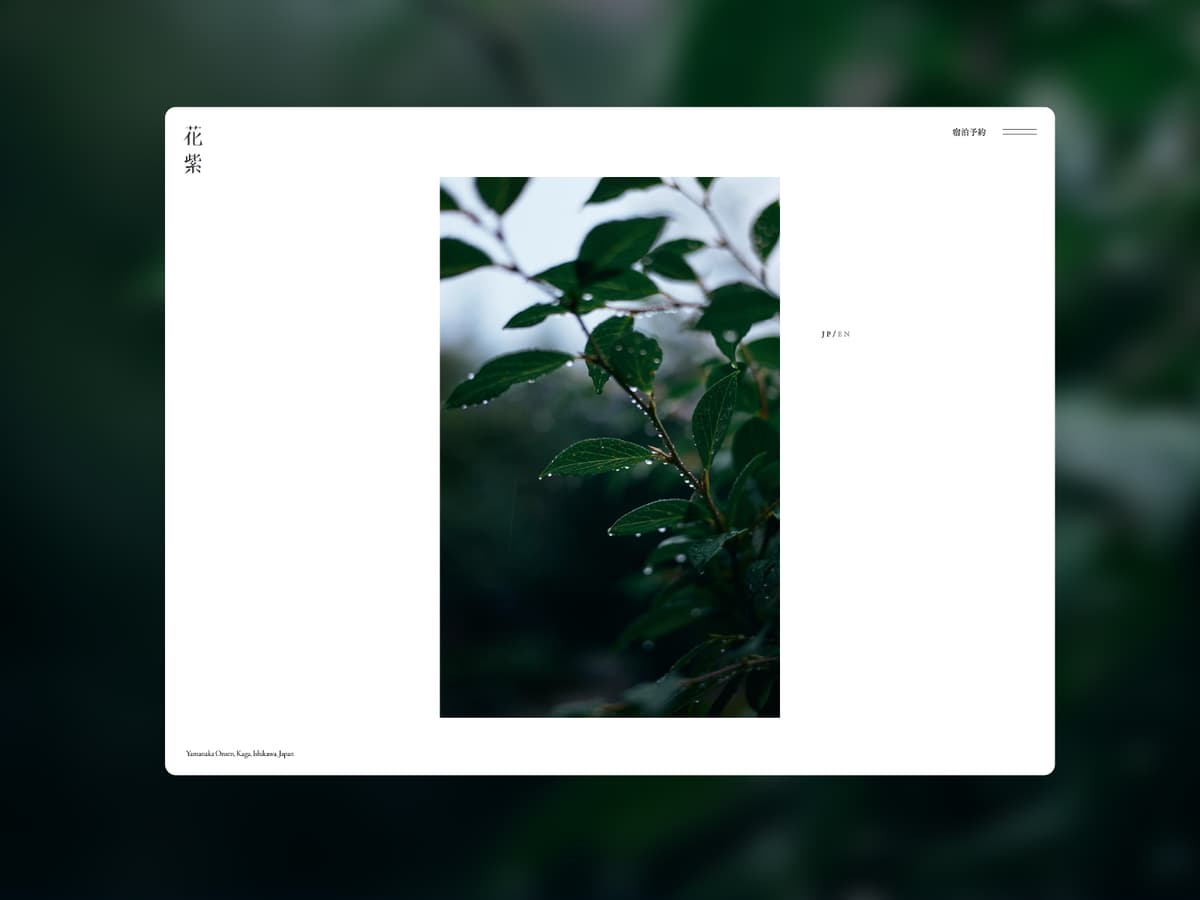 花紫-block-0
