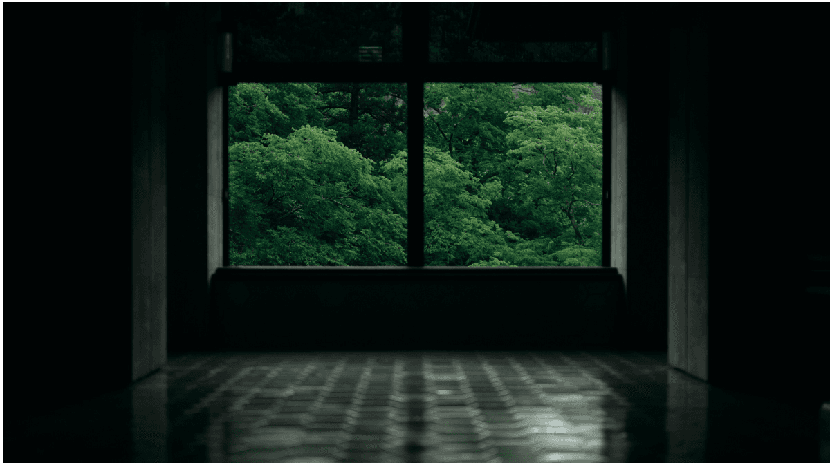花紫_main-image